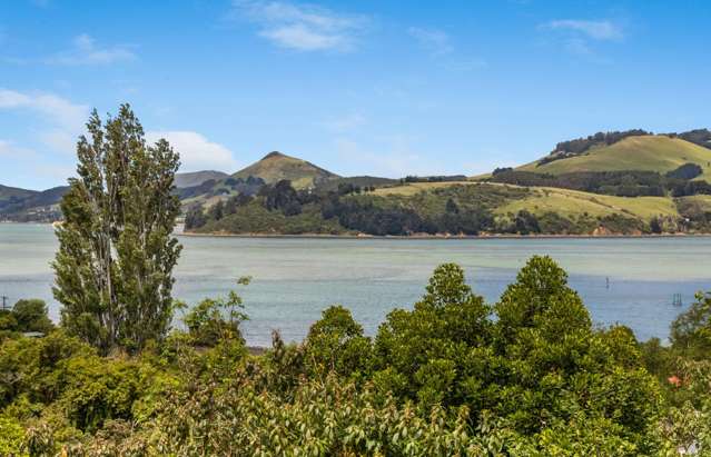 12 Tui Street Saint Leonards_2