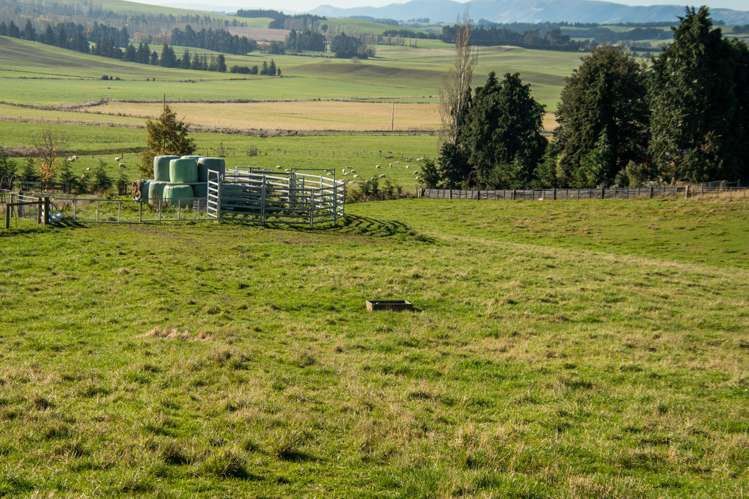 89C Mckinnon Road Mcnab_8