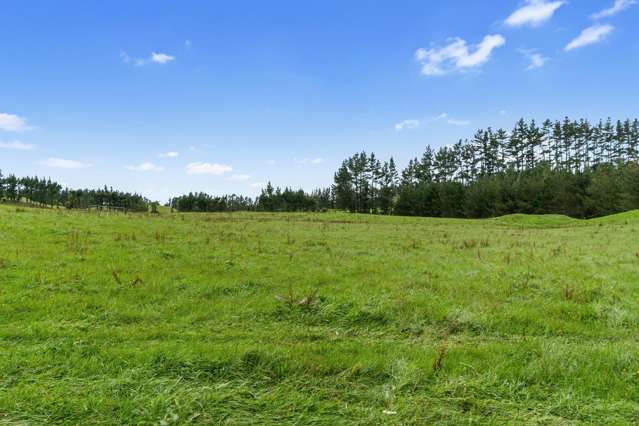 1161 State Highway 5 Hamurana_2