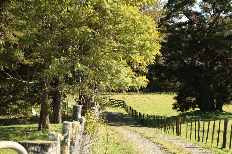 140 Kenana Road Mangonui Surrounds_18