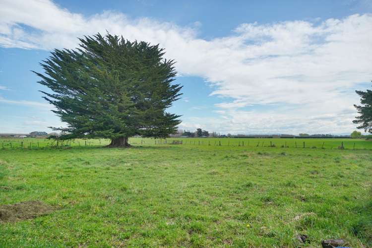 1724 Springs Road Lincoln_5