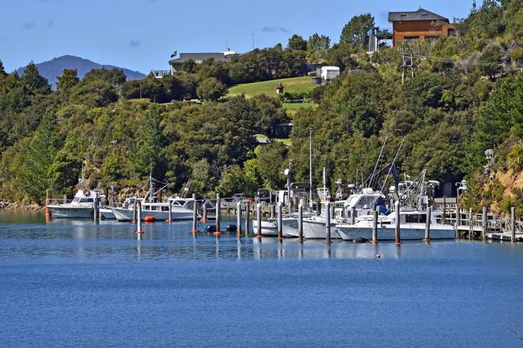 198 Elaine Bay Road Marlborough Sounds_43