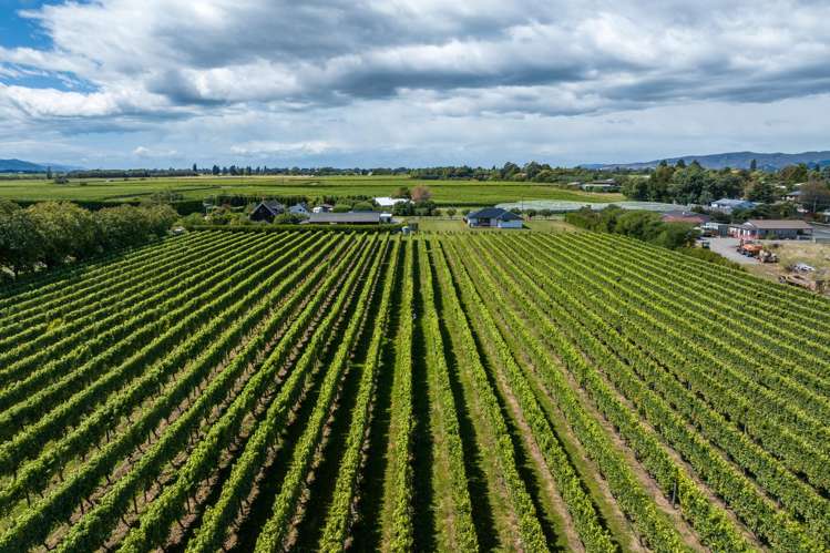 5 Brook Street North Renwick_18