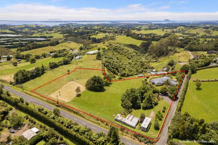 439 Wainui South Road Whakamarama_20