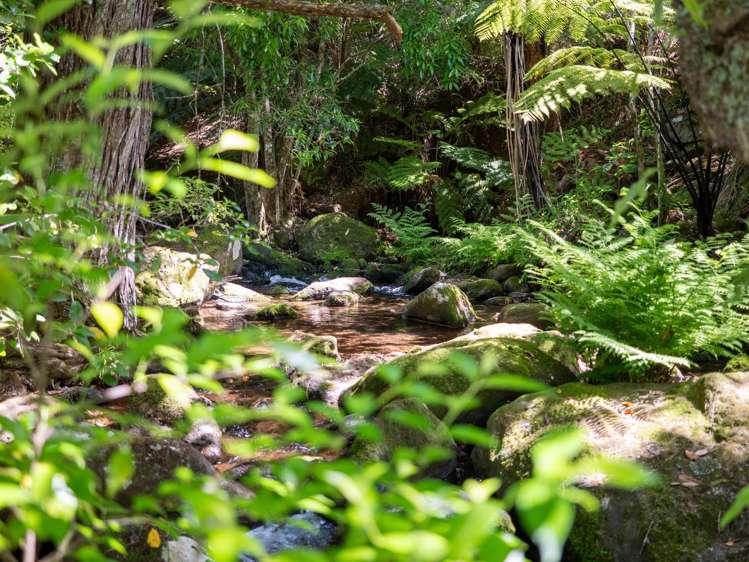 19 Stoney Brook Lane Kerikeri_25