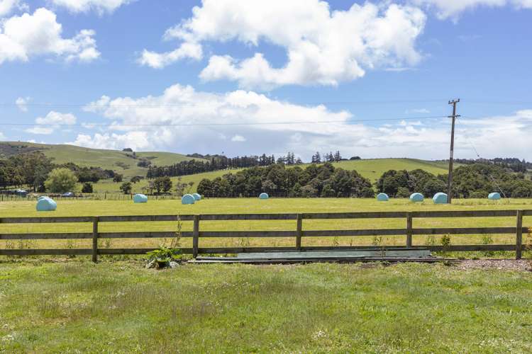 183 Tapu Bush Road Whangaripo_17