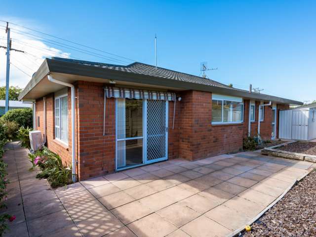 95 Alfred Street Blenheim Central_3