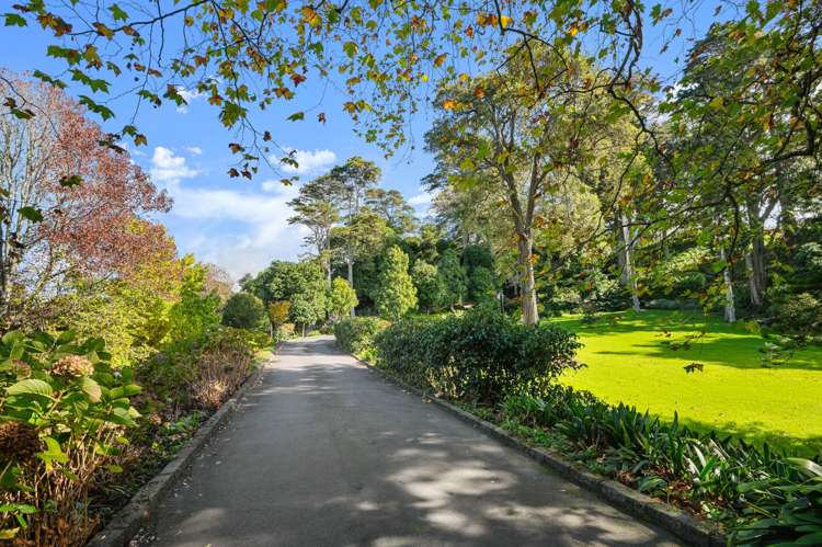 4C/75 Owens Road Epsom_19