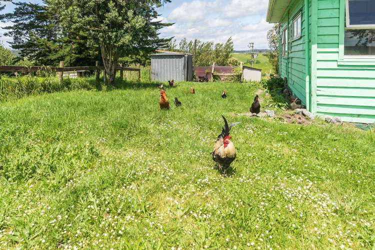 91 Beaver Road Wharehine_24