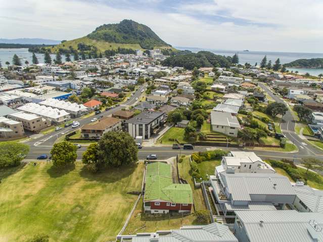 24 Banks Avenue Mount Maunganui_4