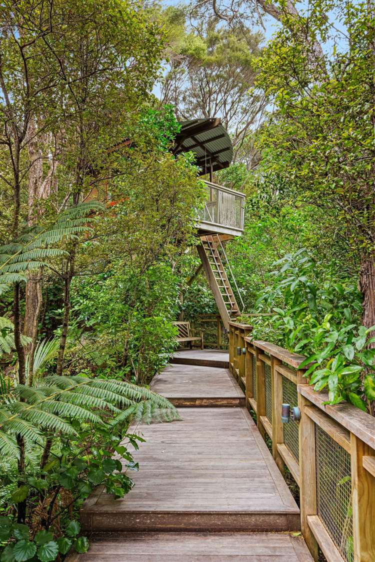 68-70 Matakatia Parade Matakatia_36