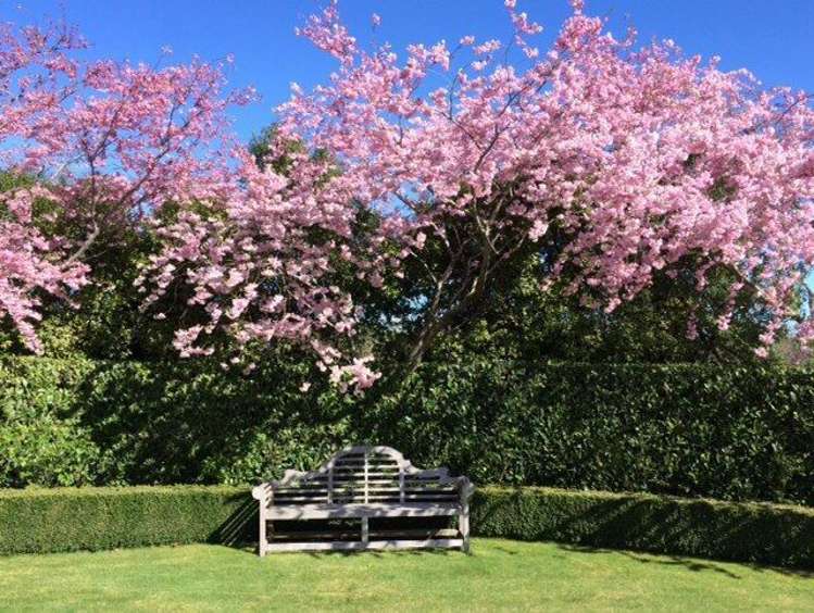 123 Halkett Road West Melton_24