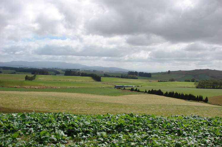 182 Beacon Hill Road Wairuna_14