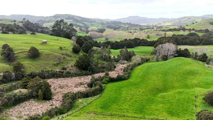 1149 Whangaripo Valley Road Whangaripo_9