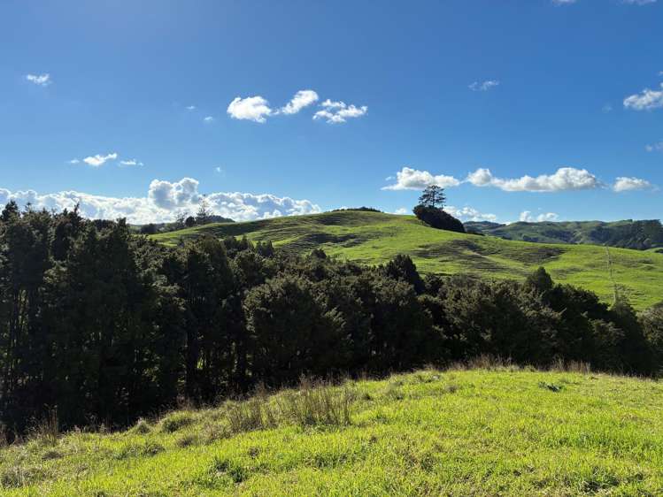 Paparoa Road Mangapai_7