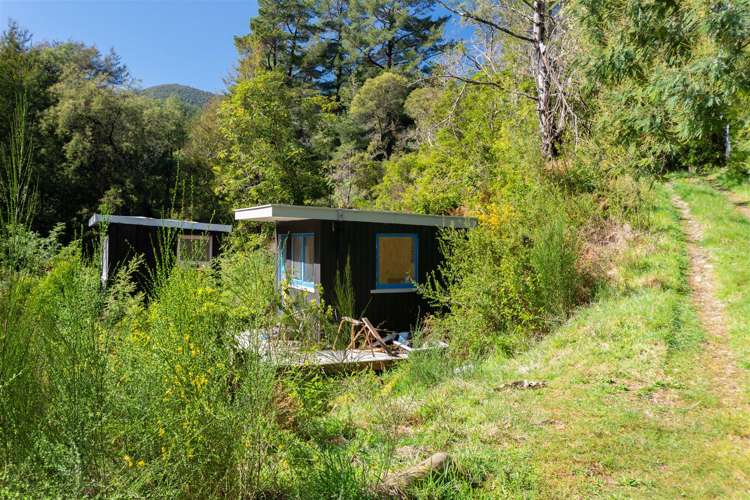 1000 Wakamarina Road Havelock_9