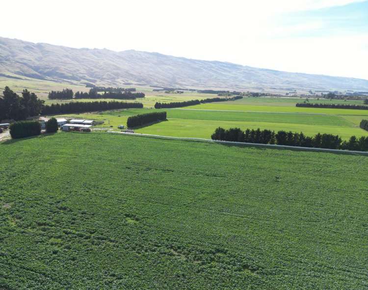 626 Gladbrook Road Middlemarch_20