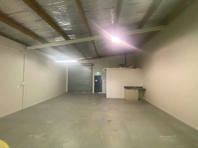 38C Austin Street Onekawa_4