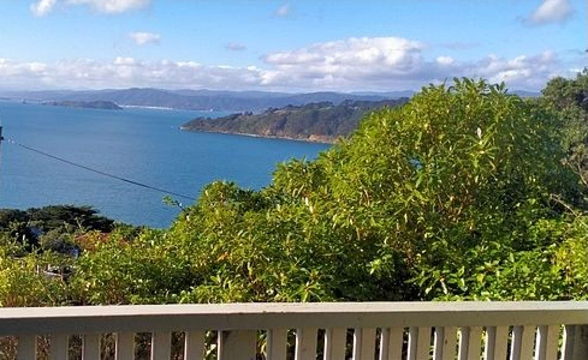 112B Grafton Road Roseneath_0