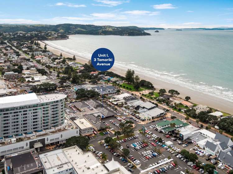 Unit I/3 Tamariki Avenue Orewa_1