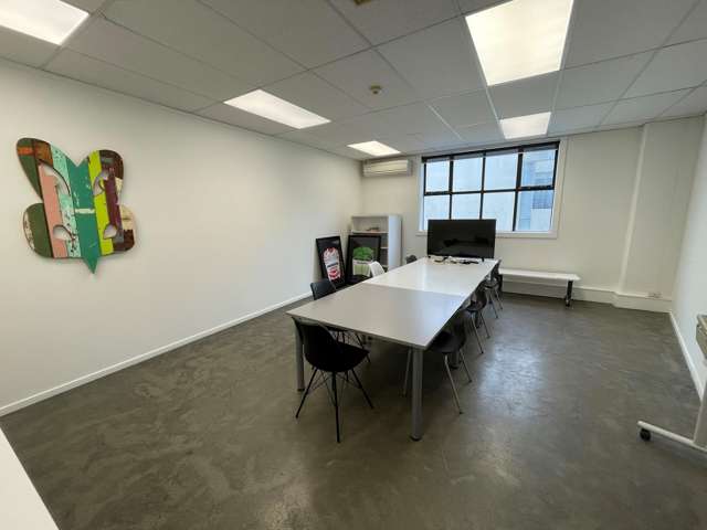 36 Allen Street Wellington Central_4