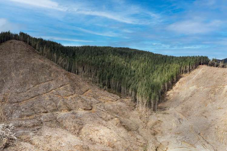 Lots 2-4, 14, 15, DP 9115 Motu Road Matawai_4