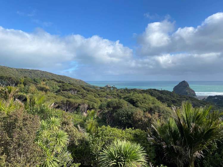 22 Pendrell Road Piha_6