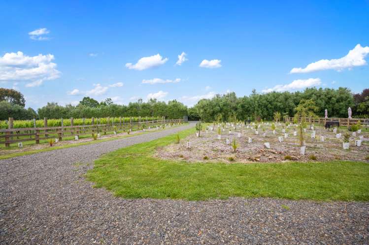 30 Riverpark Drive Kuratau_8