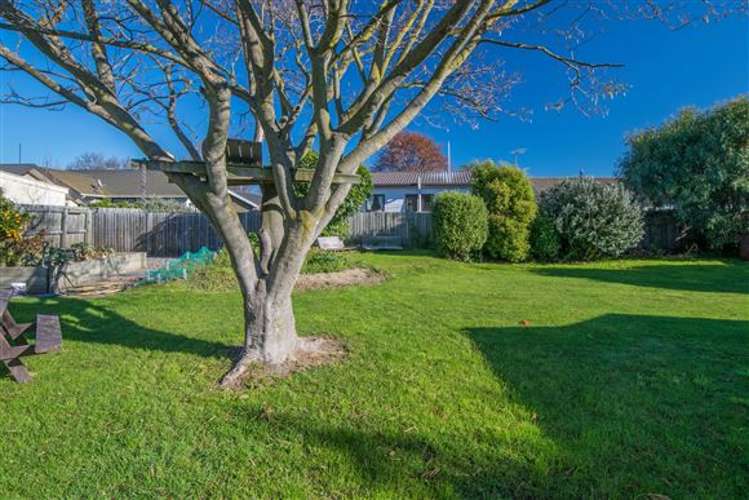 8 Mary Street Redwoodtown_12