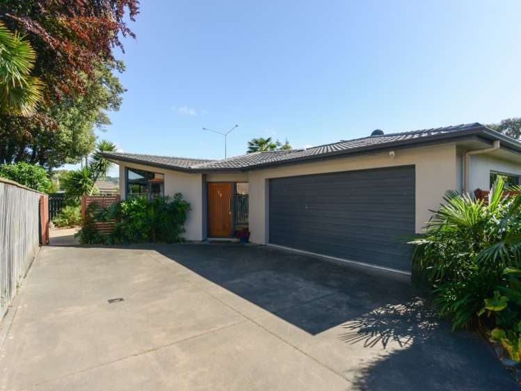 2b Peddie Street Taradale_0