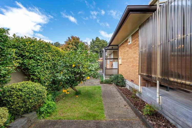 216B Peachgrove Road Claudelands_21