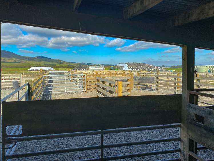 104 Irthing Street Castlerock_16