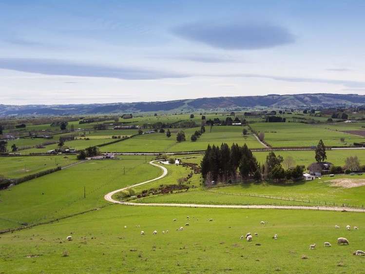 247 Main South Road East Taieri_19