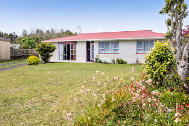 QUALITY BRICK HOME WITH PARKSIDE APPEAL