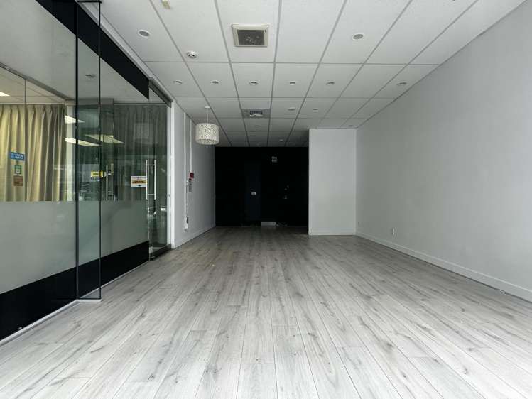Ground 6B/139 Carlton Gore Road Newmarket_3