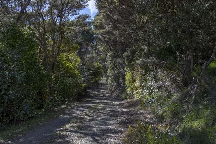LOT 2 303 Waiaua Road Hihi_19