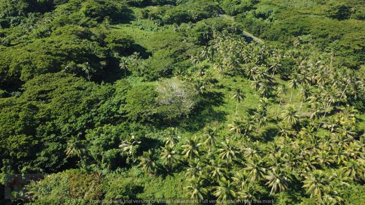 Address withheld Savusavu_5