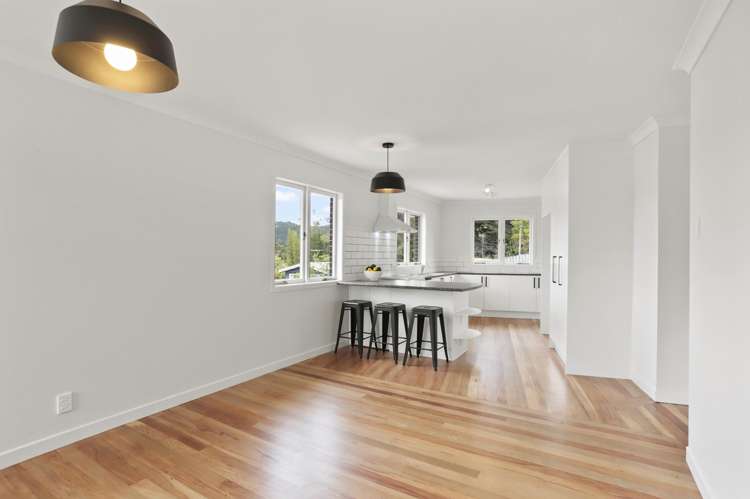 22 Shetland Street Glen Eden_5