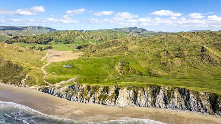 Paoanui Pourerere_18