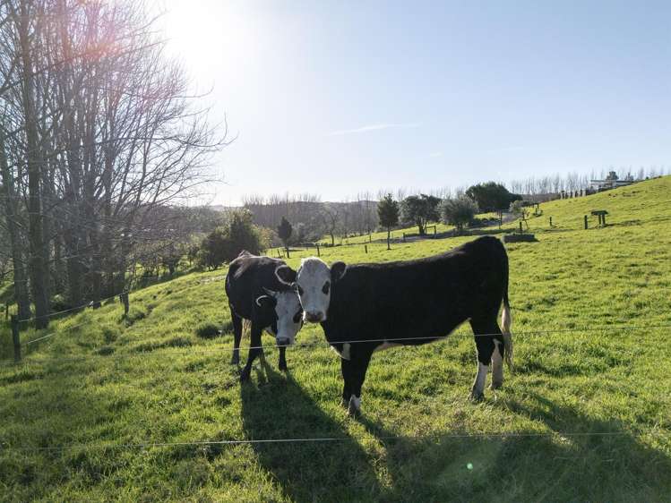 683F Puketona Road Haruru_19