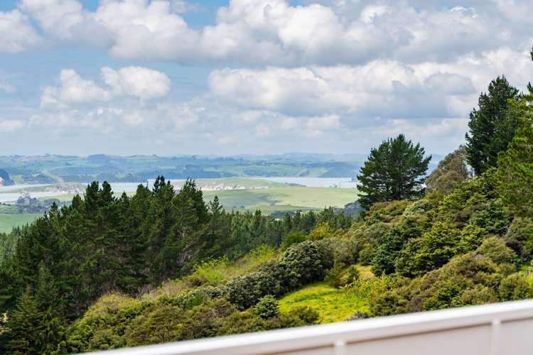 827 Tinopai Road Tinopai_21