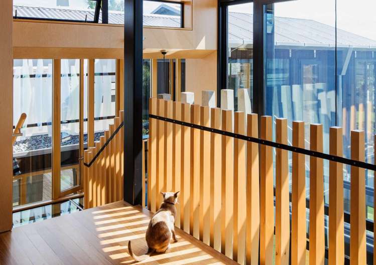 22 Ewen Street Takapuna_11