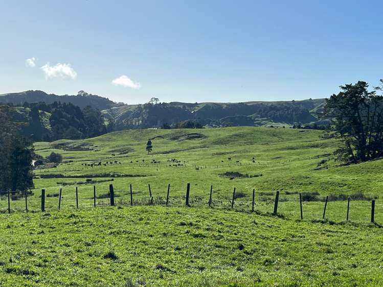 401 Waikaretu Valley Road Glen Murray_11