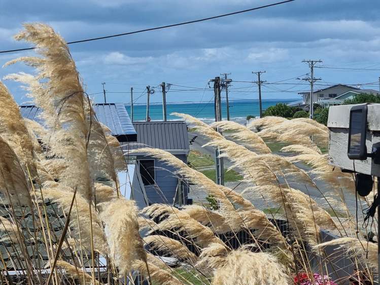 17 William Street Riverton_12