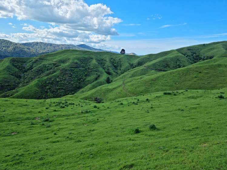 852 Mangawara Road Tahuna_21