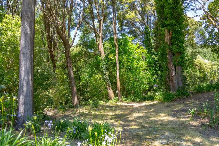 865 Mangamahoe Central Road Masterton_31