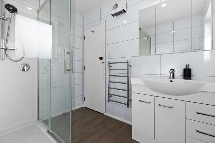 42 Norfolk Street Tamatea_18