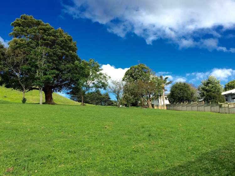 39 Roseman Avenue Mount Roskill_11