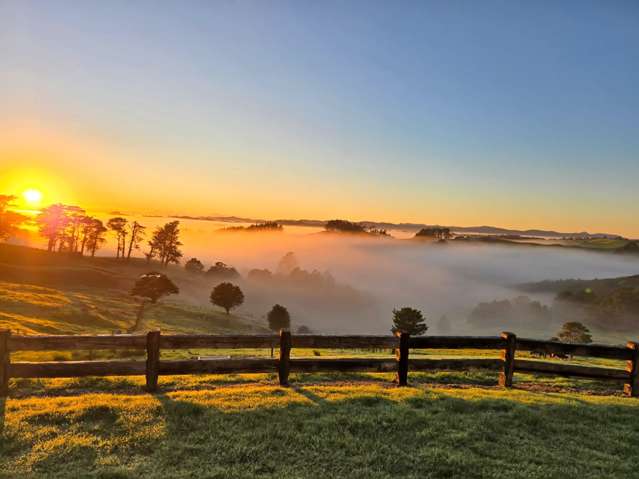 198 Biddle Rd Wellsford_3