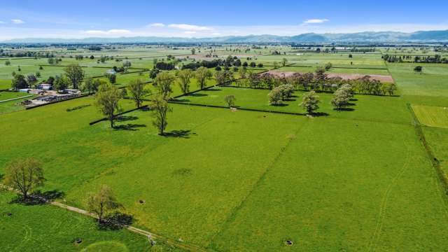 884 Horrell Road Morrinsville_3